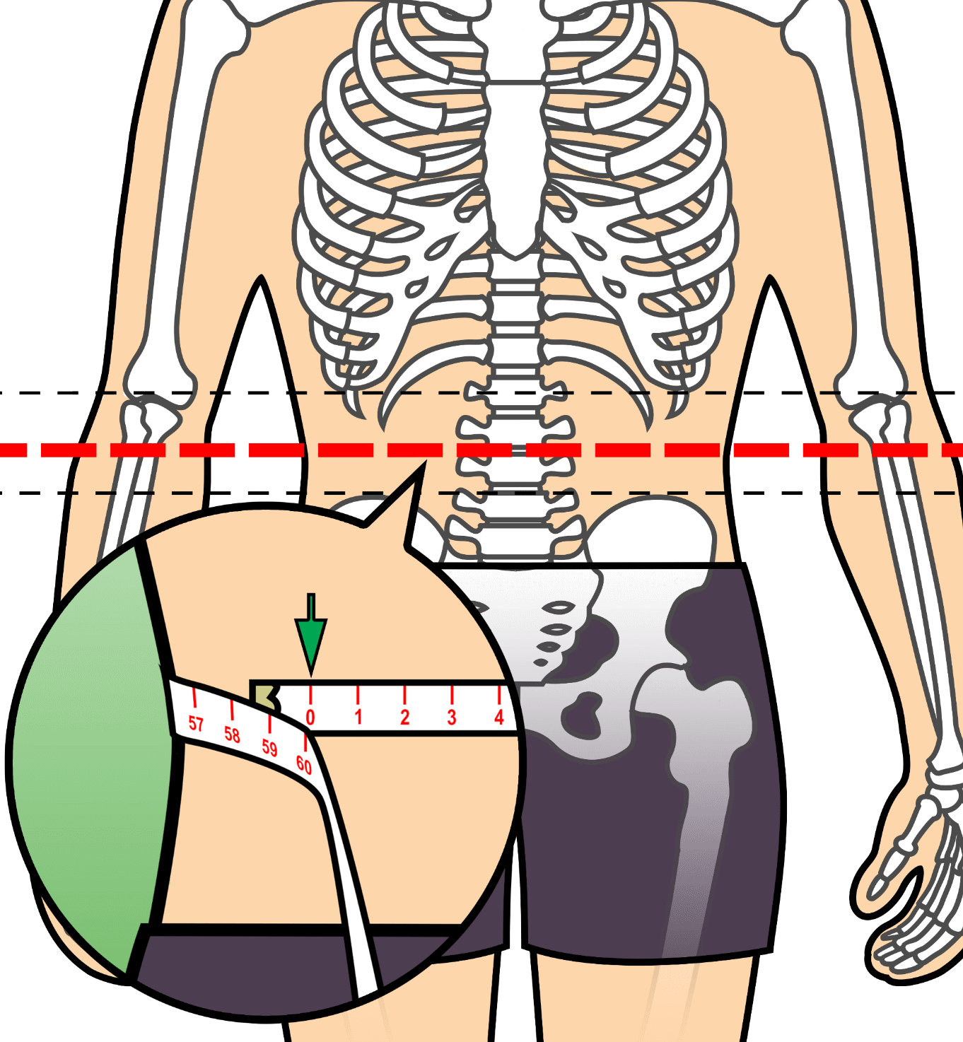 How to measure waist circumference